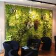 5 Tips to Make Your Green Office